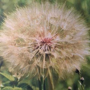 Meet your Posher, Cathy